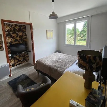 فندق مبيت وإفطار La Maison De - Lourdes *